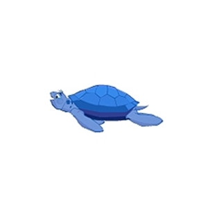 Blue Turtle Mate